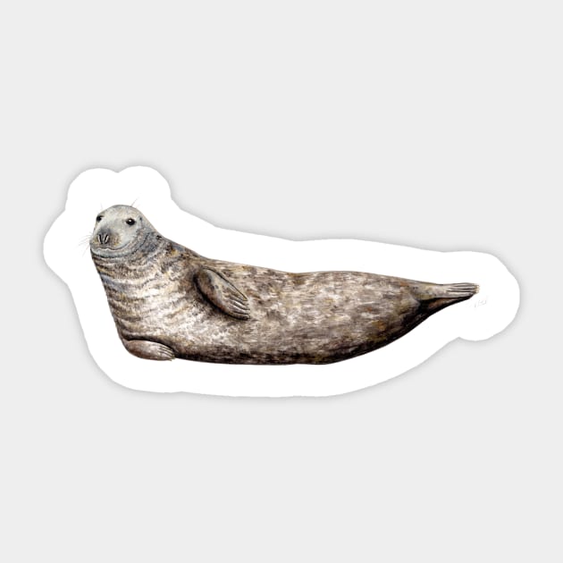 Grey seal Sticker by chloeyzoard